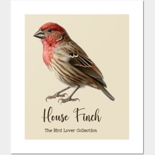 House Finch - The Bird Lover Collection Posters and Art